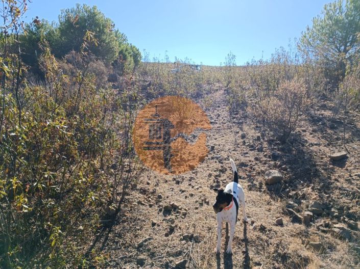 Image No.40-Plot for sale