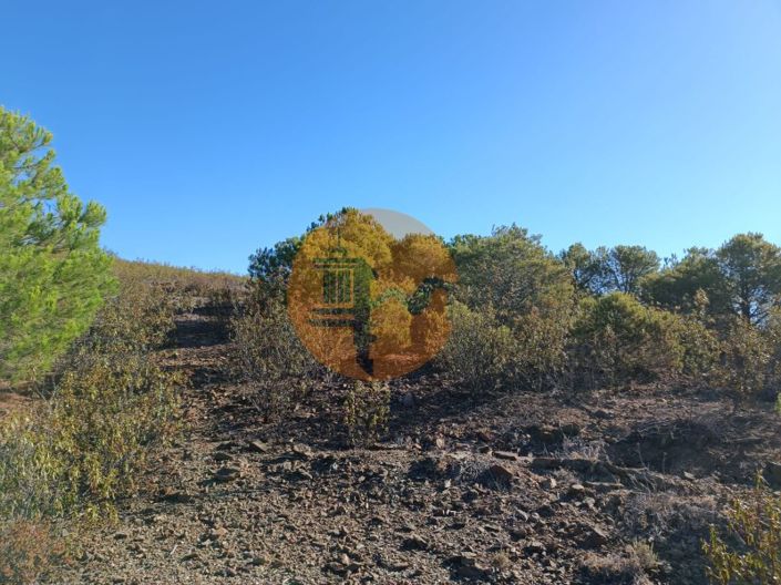 Image No.7-Plot for sale