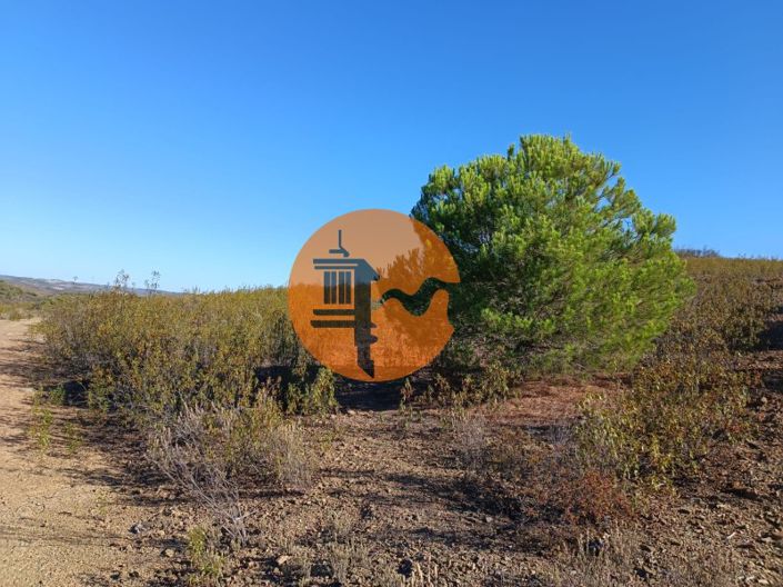 Image No.8-Plot for sale