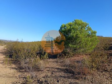 ide8177001-0000-0500-0000-000011c68cd1