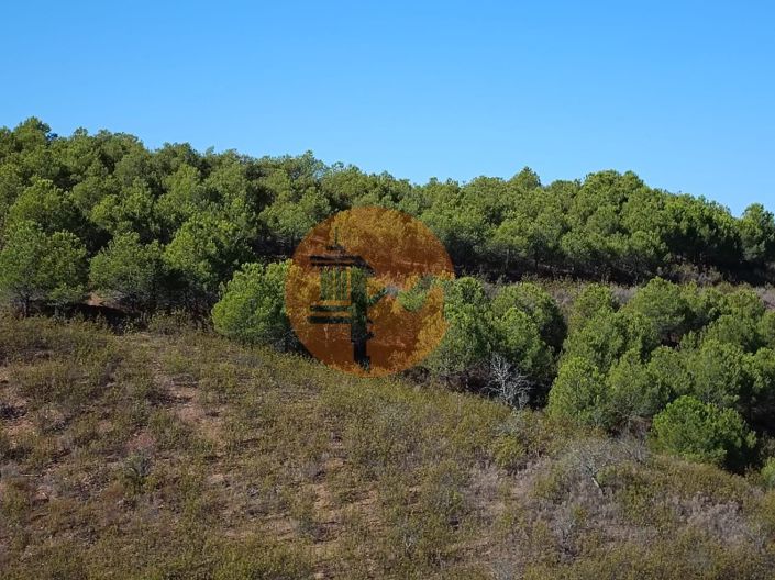 Image No.10-Plot for sale