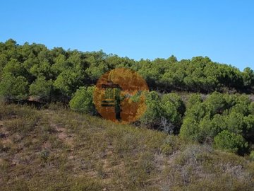 ida21d7001-0000-0500-0000-000011c7328e