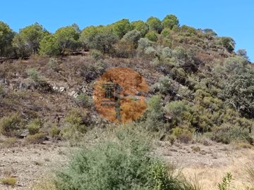 ida21d7001-0000-0500-0000-000011c7328d