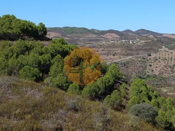 ida21d7001-0000-0500-0000-000011c7328f