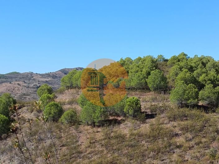 Image No.13-Plot for sale