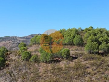 ida21d7001-0000-0500-0000-000011c73291