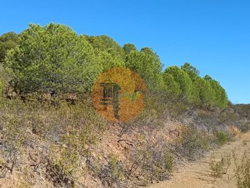 ida21d7001-0000-0500-0000-000011c73292