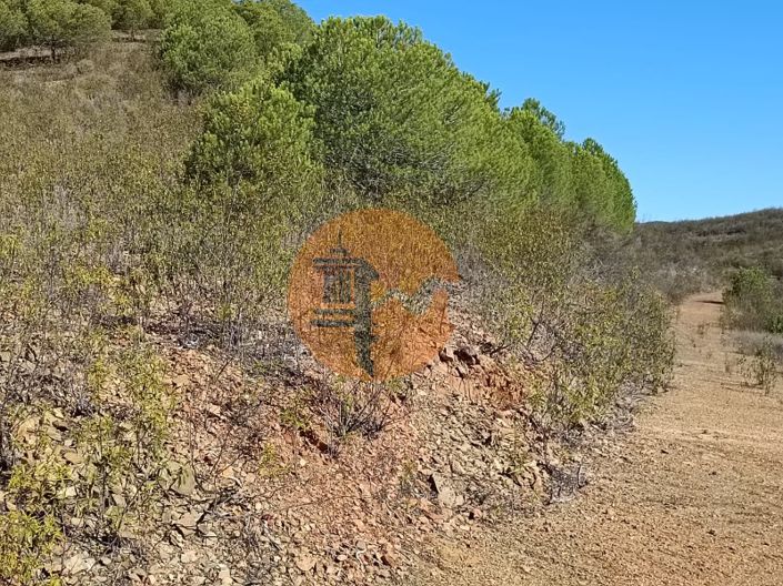 Image No.16-Plot for sale