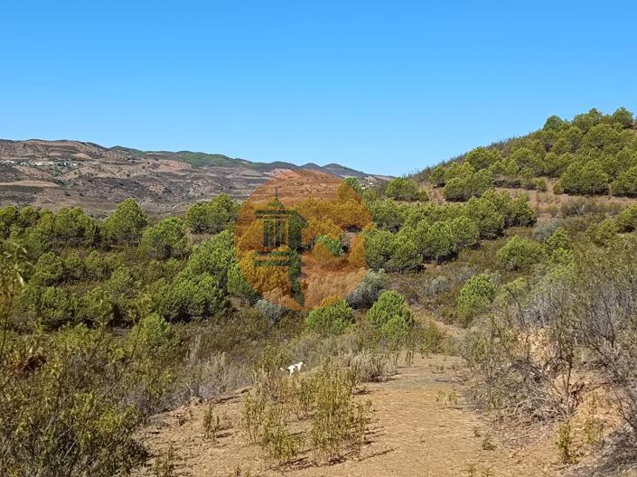 Image No.17-Plot for sale