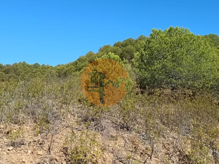 Image No.18-Plot for sale