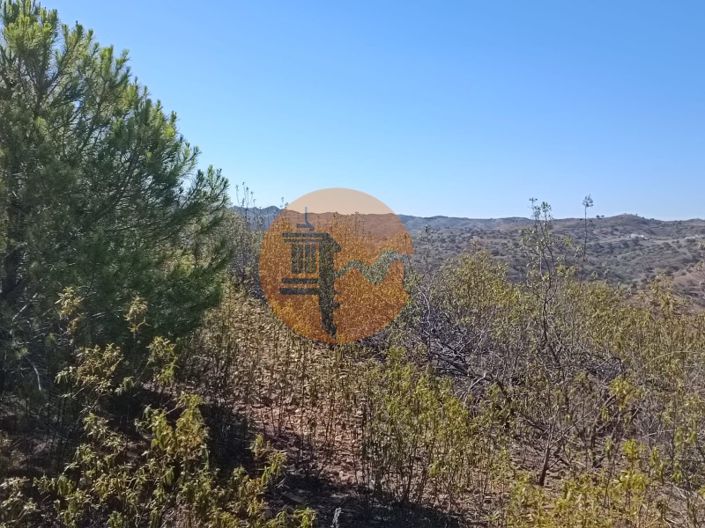 Image No.22-Plot for sale