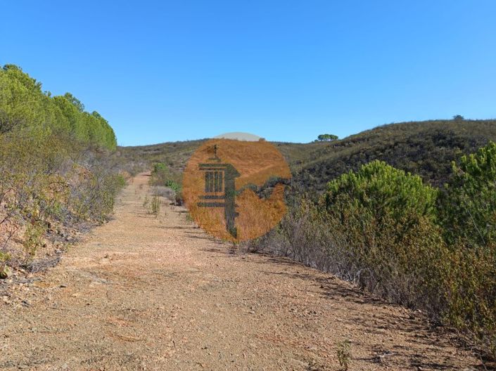 Image No.24-Plot for sale