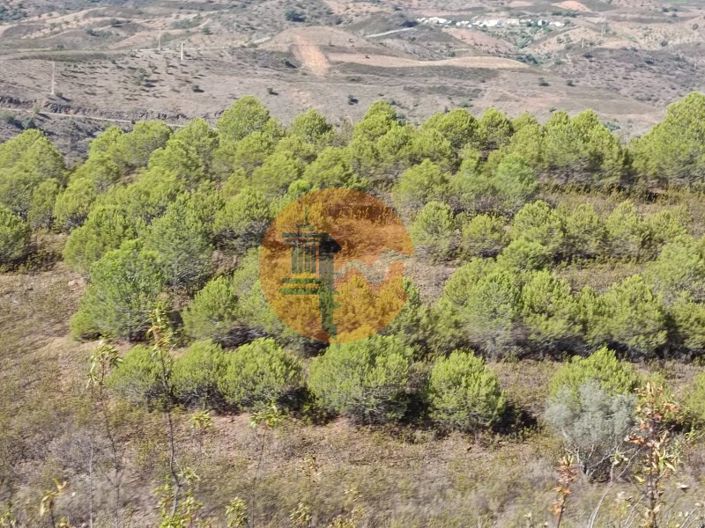 Image No.25-Plot for sale