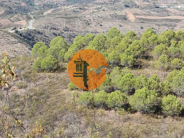 Image No.27-Plot for sale