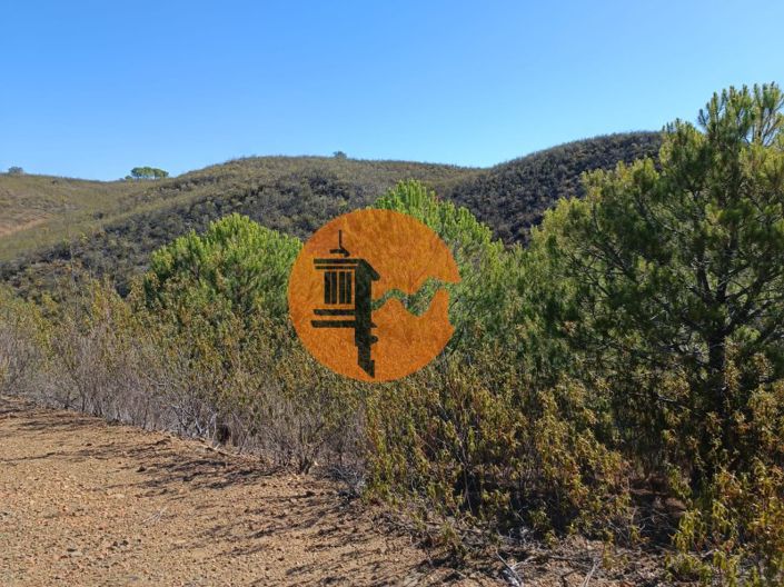 Image No.28-Plot for sale