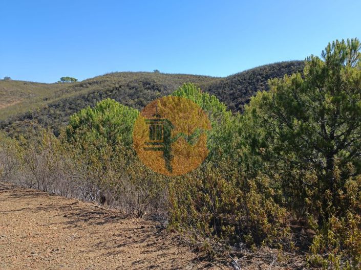 Image No.28-Plot for sale