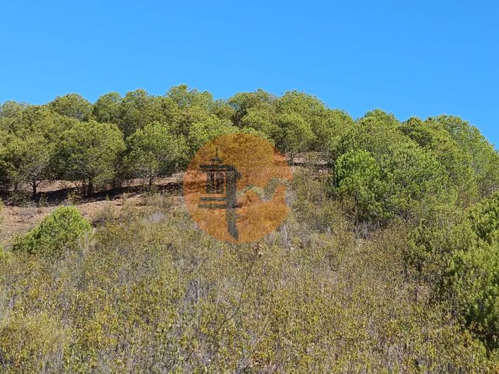 Image No.31-Plot for sale