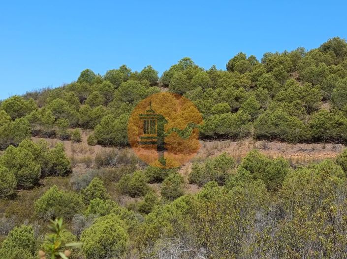 Image No.32-Plot for sale