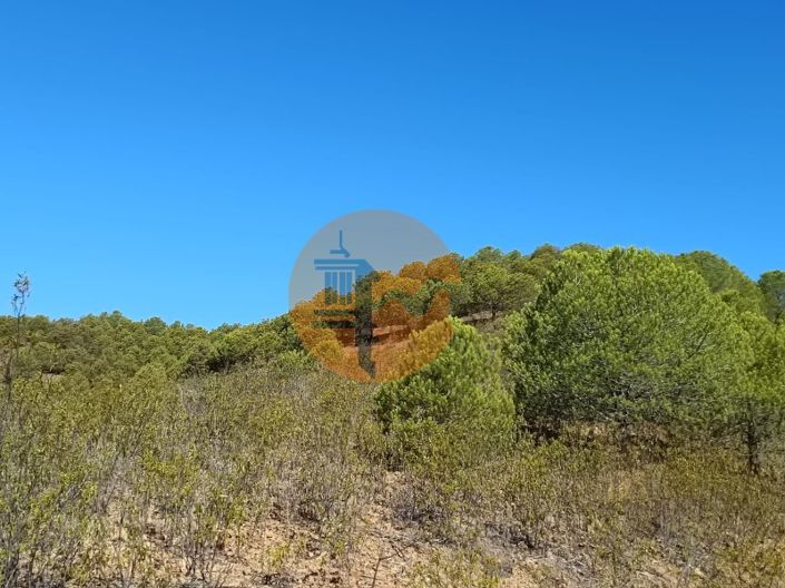 Image No.37-Plot for sale