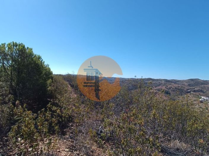 Image No.38-Plot for sale