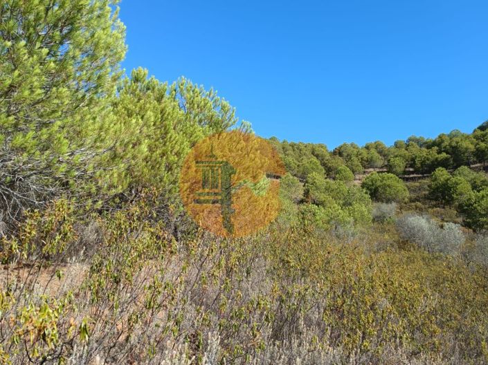 Image No.39-Plot for sale