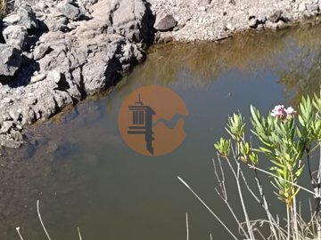 ida21d7001-0000-0500-0000-000011c73282