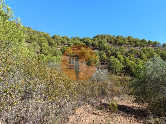 Image No.43-Plot for sale