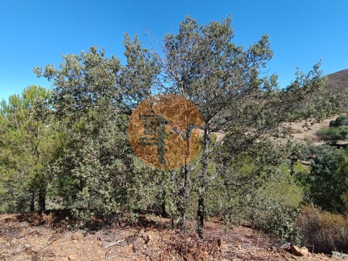 Image No.45-Plot for sale