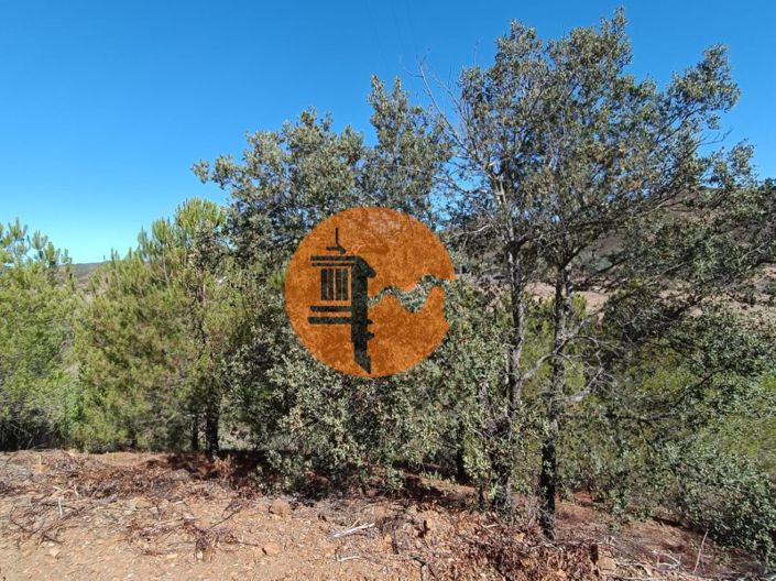 Image No.46-Plot for sale