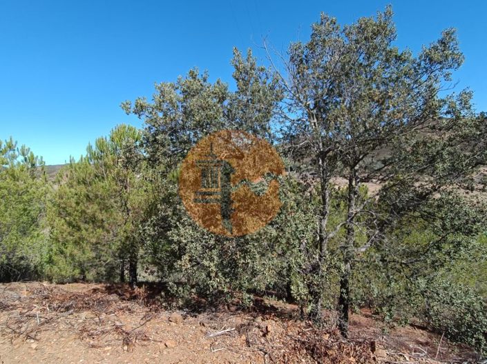 Image No.46-Plot for sale