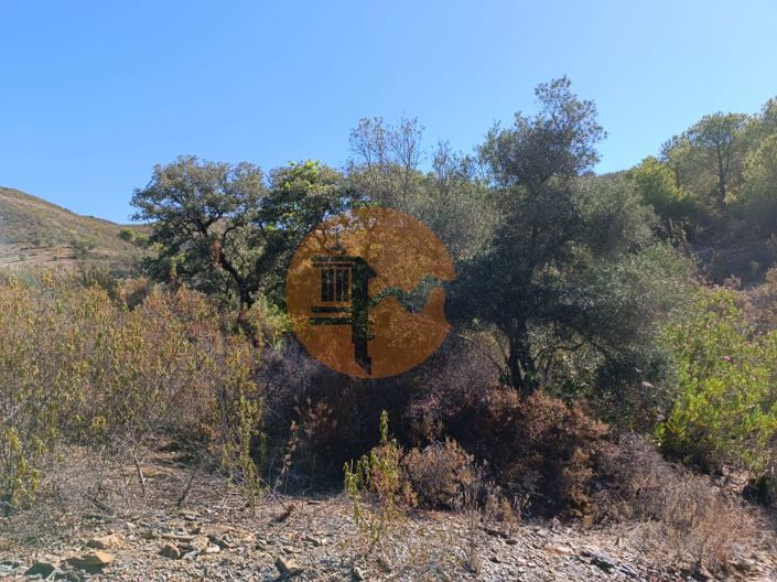 Image No.52-Plot for sale