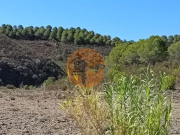 ida21d7001-0000-0500-0000-000011c73289