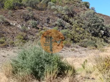 ida21d7001-0000-0500-0000-000011c7328a