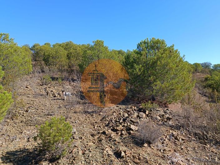 Image No.10-Plot for sale