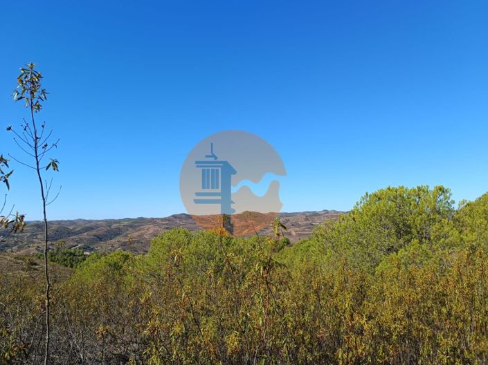 Image No.11-Plot for sale