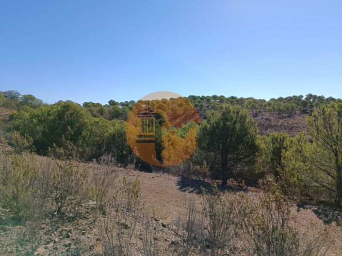 Image No.13-Plot for sale