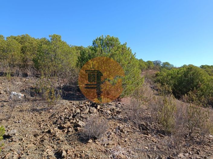 Image No.14-Plot for sale