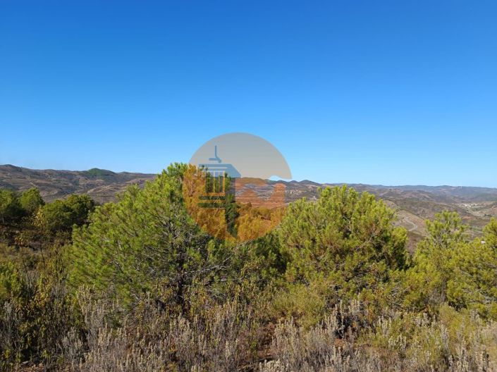 Image No.15-Plot for sale