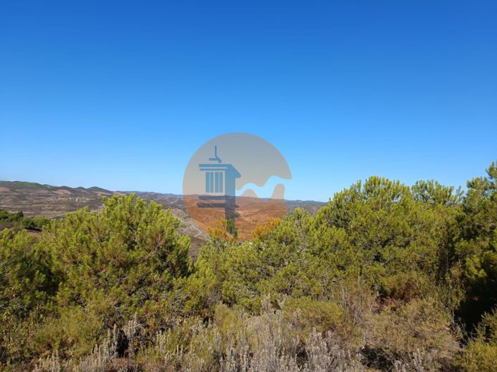 Image No.16-Plot for sale