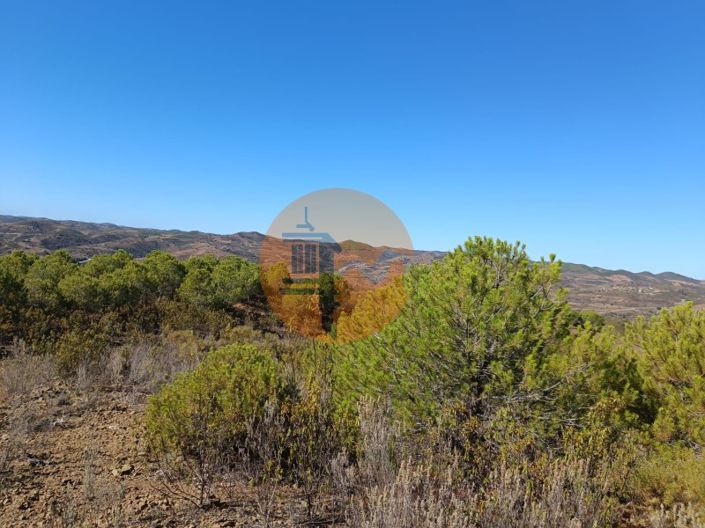 Image No.17-Plot for sale