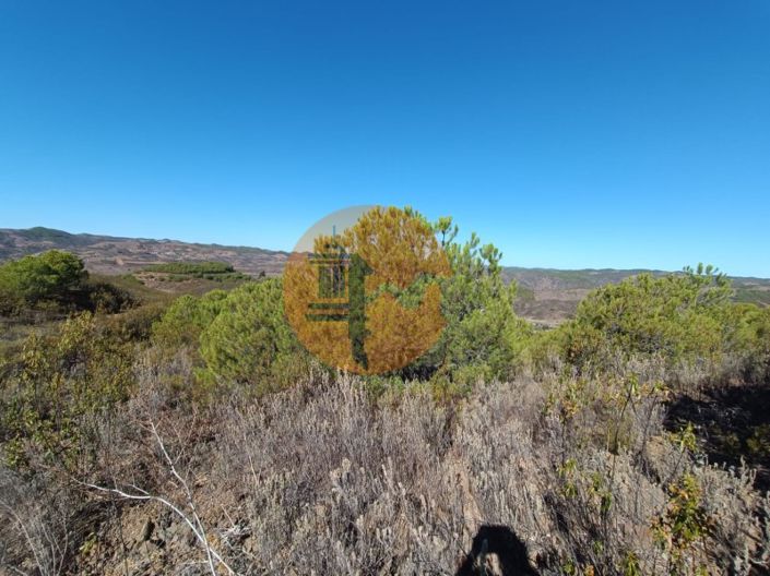 Image No.23-Plot for sale