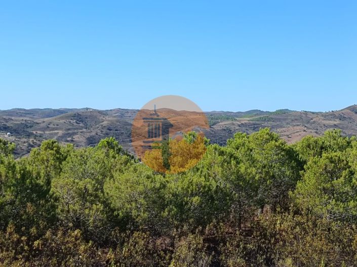 Image No.24-Plot for sale