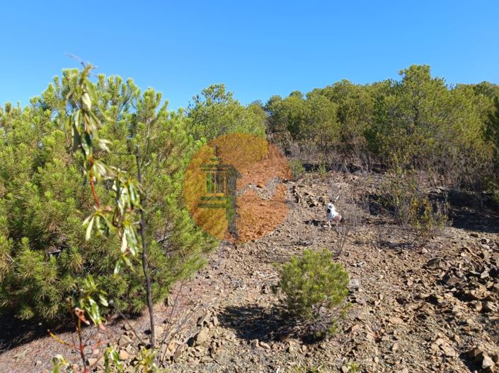 Image No.3-Plot for sale