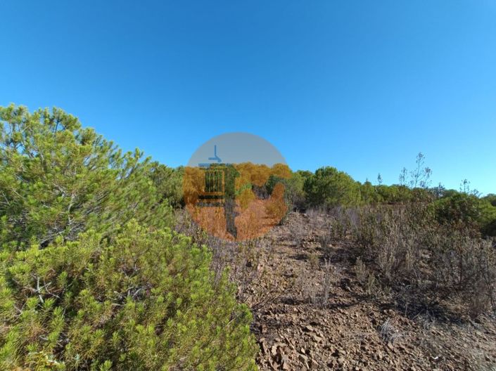 Image No.30-Plot for sale