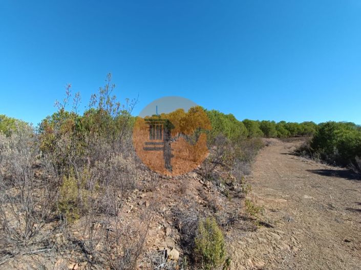 Image No.32-Plot for sale