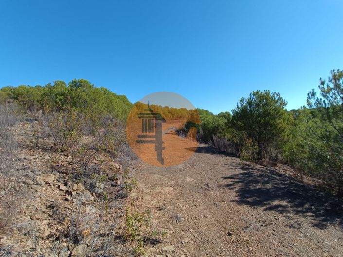 Image No.33-Plot for sale