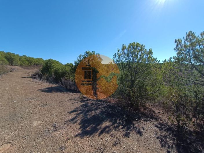 Image No.34-Plot for sale