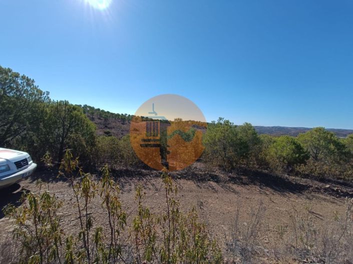 Image No.35-Plot for sale