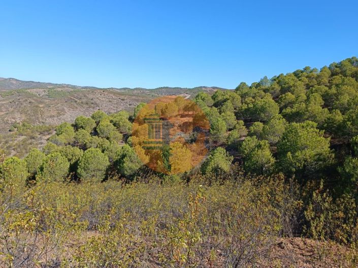 Image No.36-Plot for sale