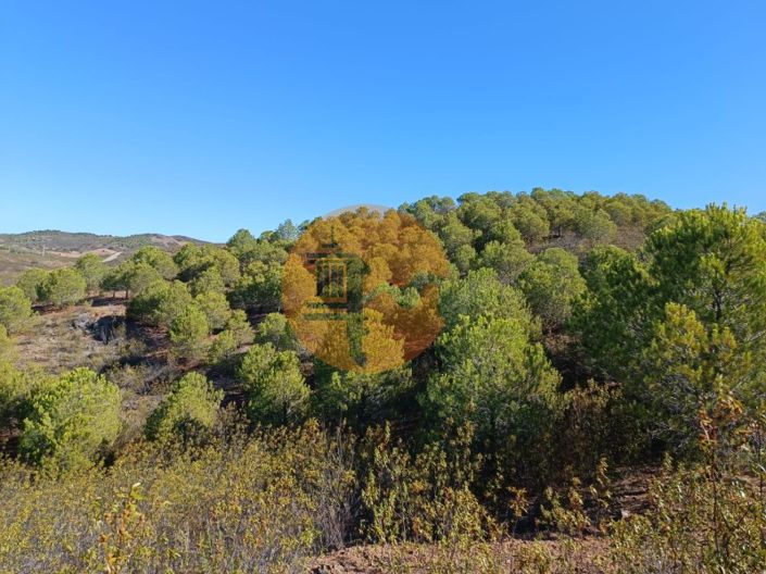 Image No.37-Plot for sale